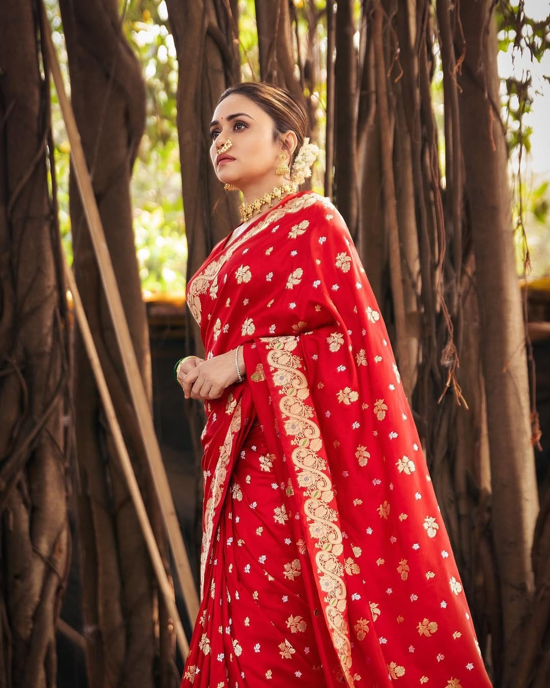 Red Banarasi Soft Silk Zari Weave Sareee