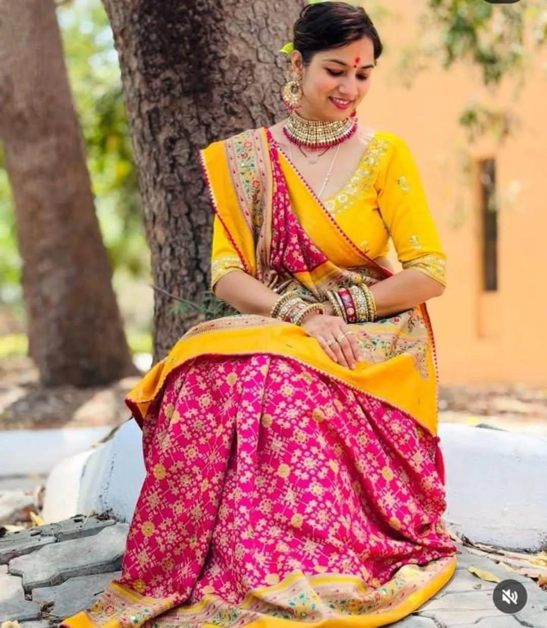 Pink Soft Pashmina Silk Printed Saree With Patola Border