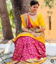 Pink Soft Pashmina Silk Printed Saree With Patola Border - Pink