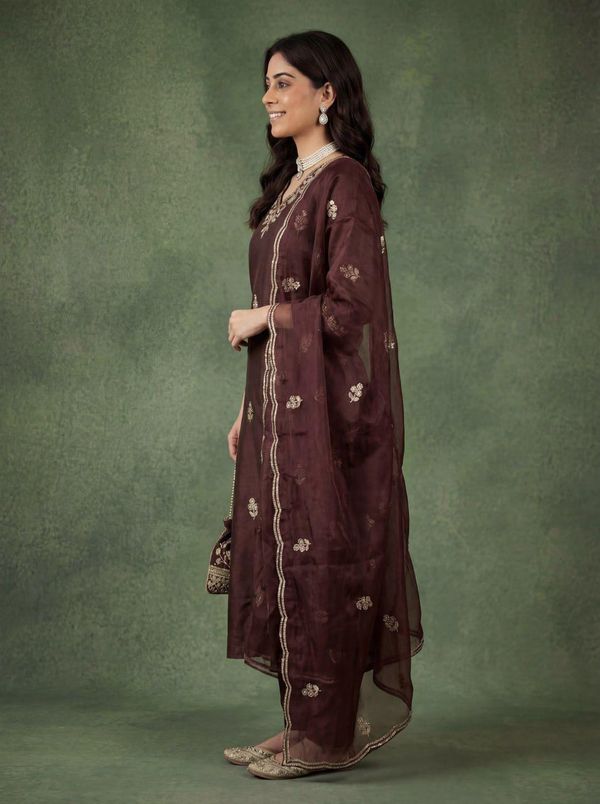 Brown Embroidered Cotton Kurta Pant Dupatta Set Women