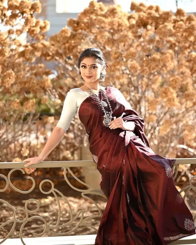 Maroon Soft Lichi Silk Saree with Silver Zari & Jacquard Border