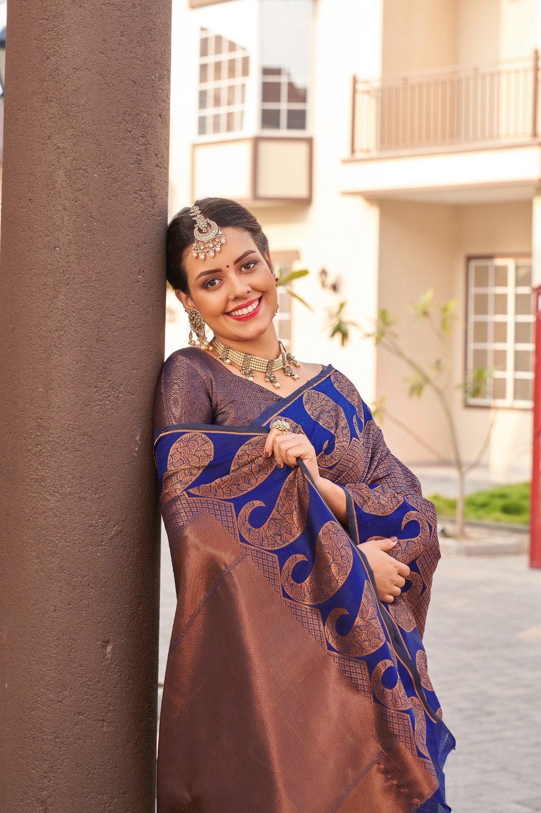 Royal Brown Blue Banarasi Silk Saree with Zari Design