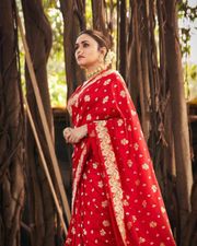 Royal Red Silk Saree with Golden Zari Heritage Weave - Red