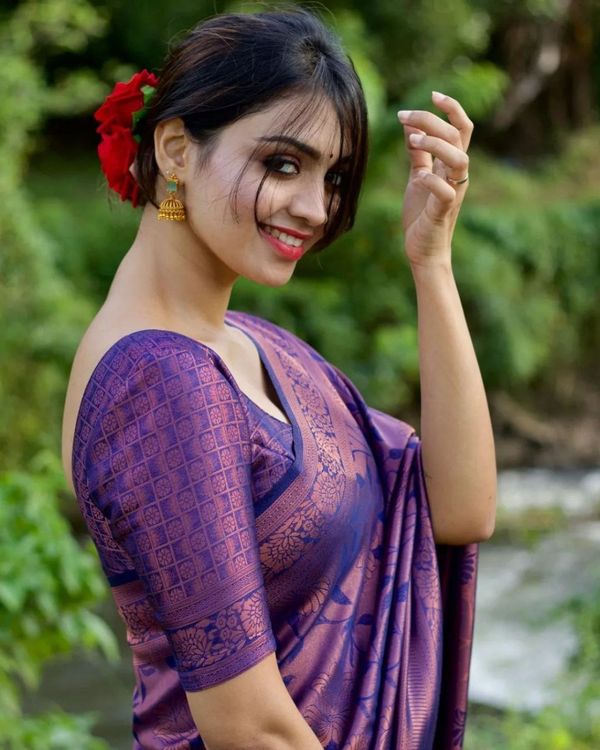 Traditional Purple Silk Saree with Jacquard Pattern