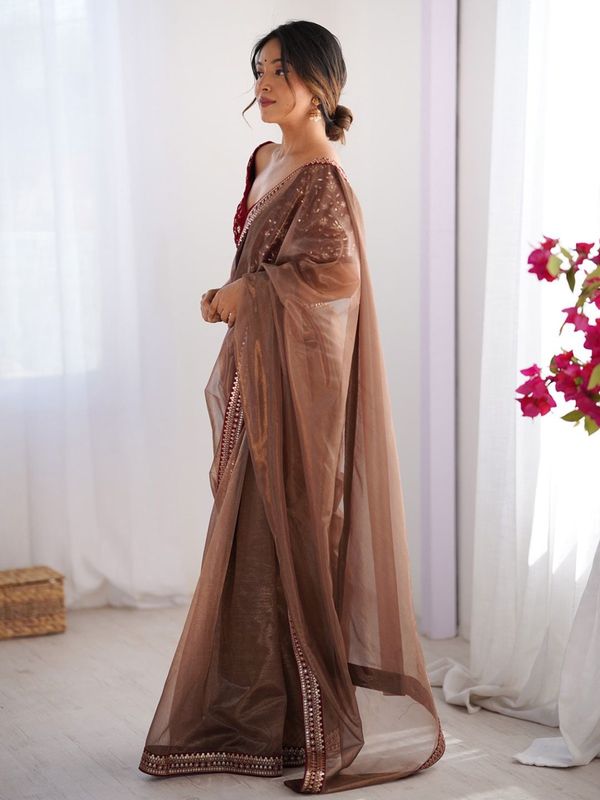 Elegant Brown Net Saree With Embroidered Blouse
